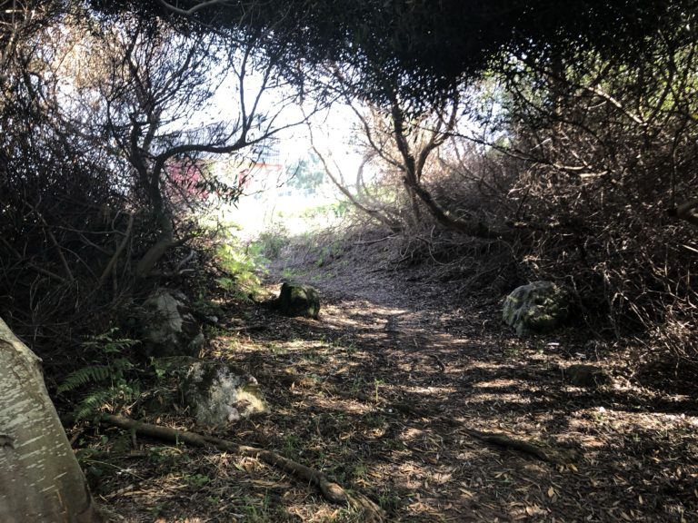 Tag 7 – 5. Etappe – Mougas