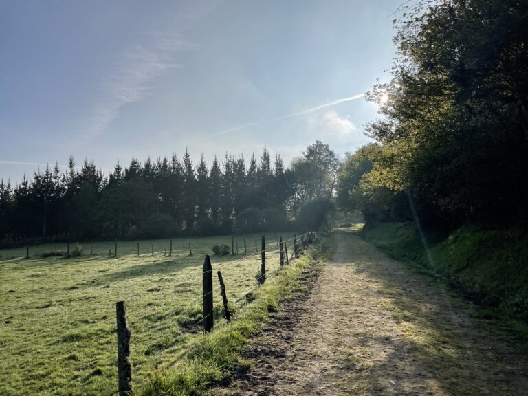 Etappen 27 + 28 – Baamonde und Sobrado dos Monxes