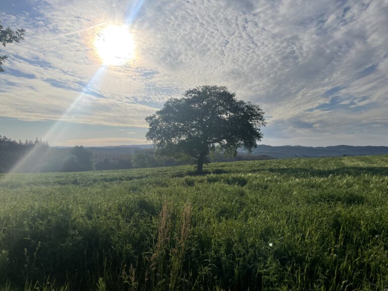 Etappe 29 + 30 / Boimonte und O Pedrouzo