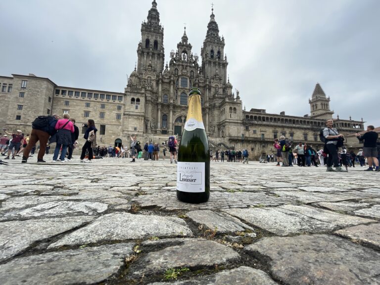 Tag 13 – O Pedrouzo nach Santiago de Compostela
