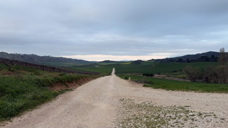 Tag 6 – Villamayor del Monjardín – Logroño