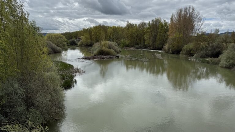 Tag 14 und 15 – Hontanas nach Carrión des Los Condes über Boadillo del Camino